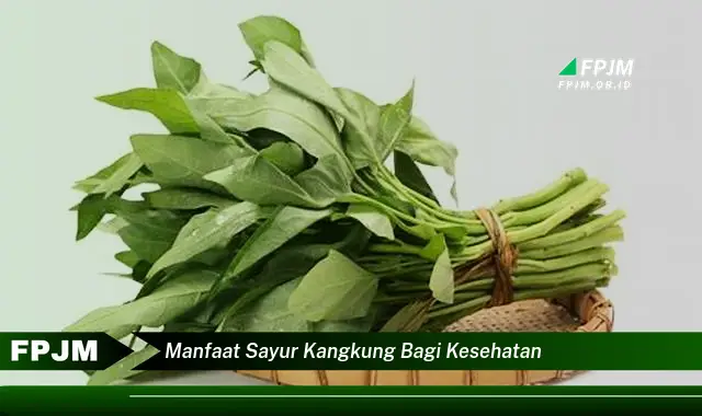 manfaat sayur kangkung bagi kesehatan