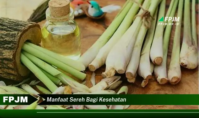 manfaat sereh bagi kesehatan manfaat sereh bagi kesehatan