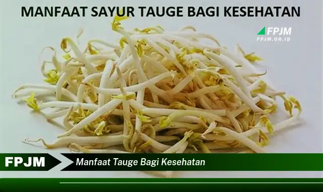 manfaat tauge bagi kesehatan manfaat tauge bagi kesehatan