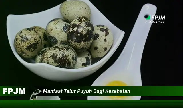manfaat telur puyuh bagi kesehatan manfaat telur puyuh bagi kesehatan