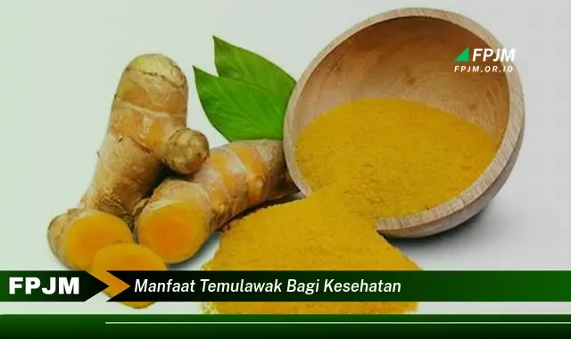 manfaat temulawak bagi kesehatan