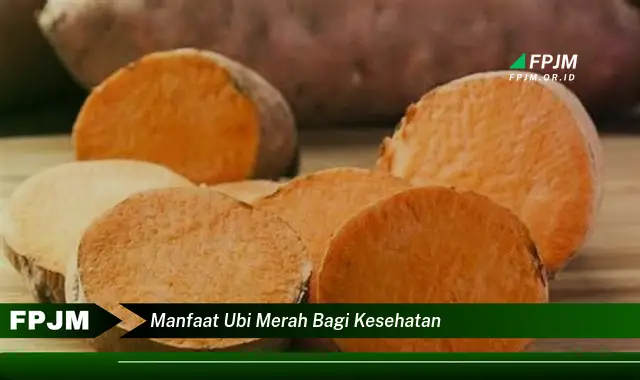 manfaat ubi merah bagi kesehatan manfaat ubi merah bagi kesehatan