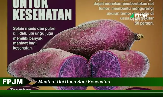 manfaat ubi ungu bagi kesehatan