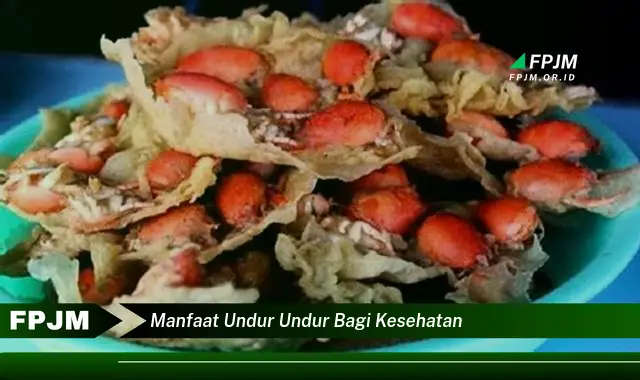 manfaat undur undur bagi kesehatan manfaat undur undur bagi kesehatan