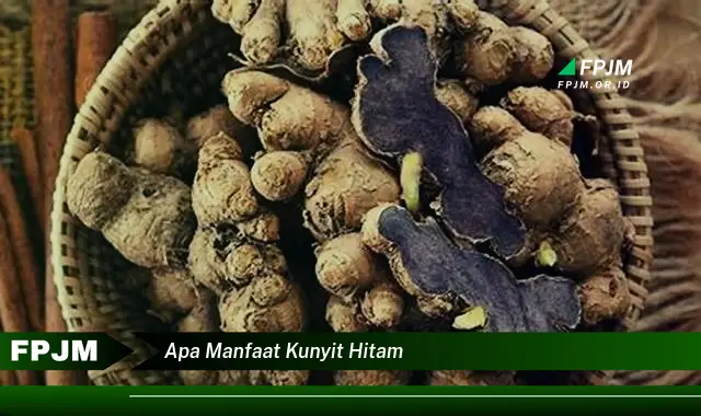 apa manfaat kunyit hitam apa manfaat kunyit hitam