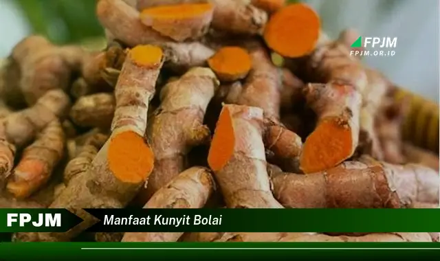 manfaat kunyit bolai