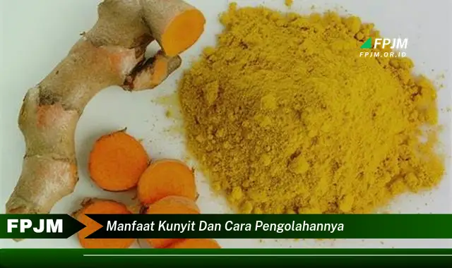 manfaat kunyit dan cara pengolahannya