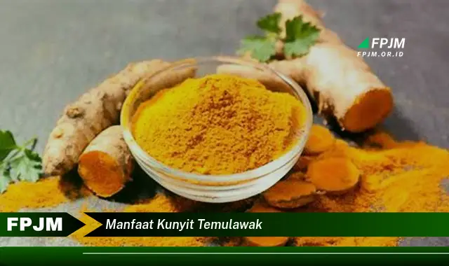 manfaat kunyit temulawak manfaat kunyit temulawak