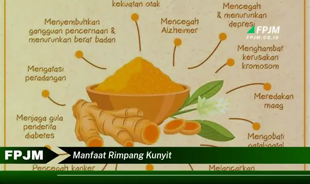 manfaat rimpang kunyit
