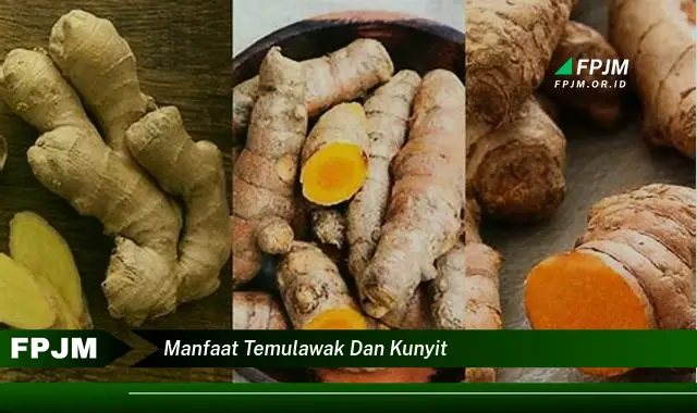 manfaat temulawak dan kunyit
