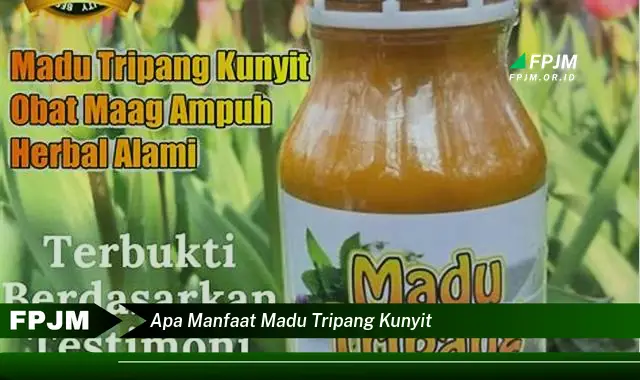 apa manfaat madu tripang kunyit