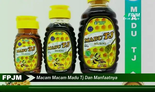 macam macam madu tj dan manfaatnya macam macam madu tj dan manfaatnya