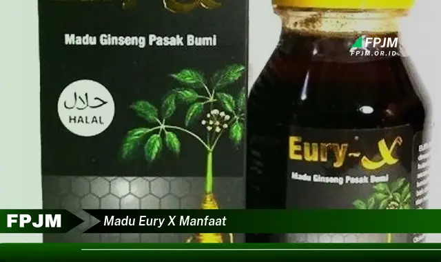 madu eury x manfaat