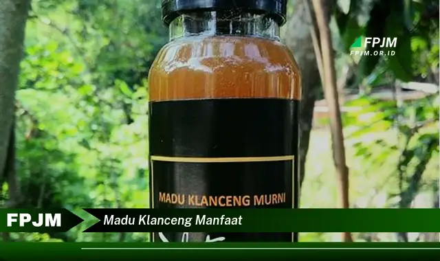 madu klanceng manfaat