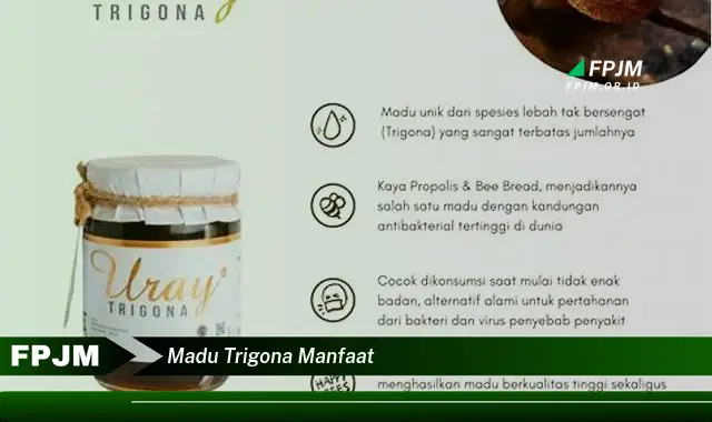 madu trigona manfaat