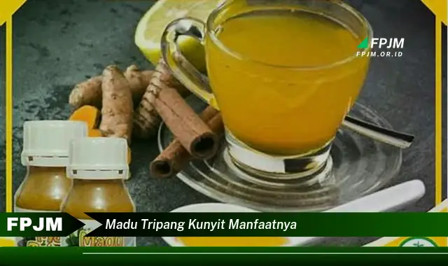 madu tripang kunyit manfaatnya