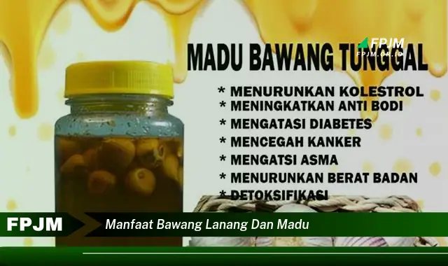manfaat bawang lanang dan madu manfaat bawang lanang dan madu