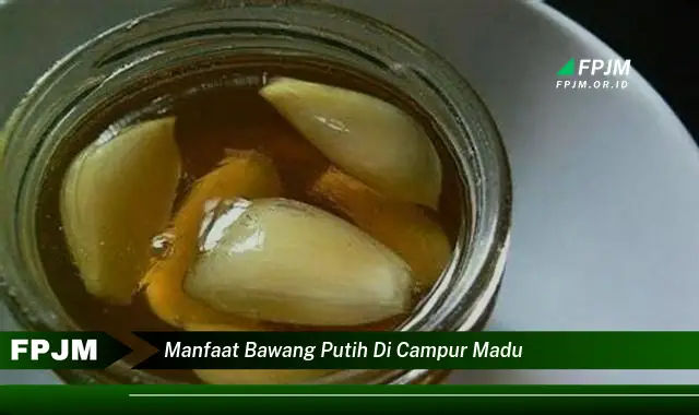 manfaat bawang putih di campur madu
