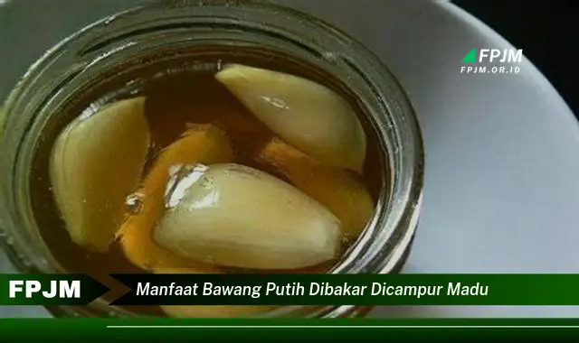 manfaat bawang putih dibakar dicampur madu