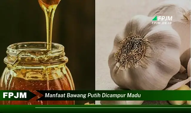 manfaat bawang putih dicampur madu