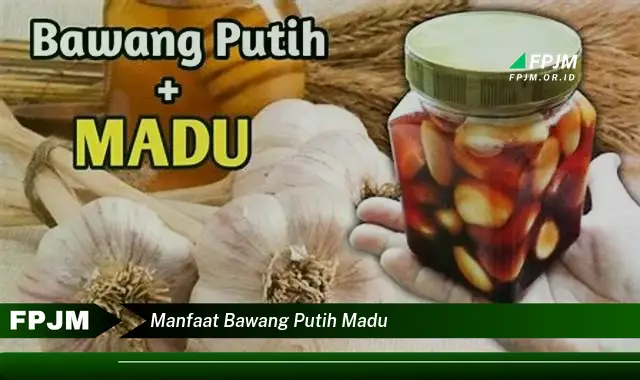 manfaat bawang putih madu