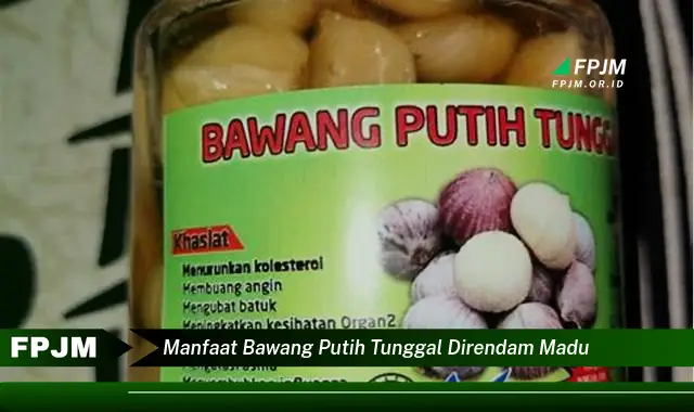 manfaat bawang putih tunggal direndam madu