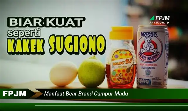 manfaat bear brand campur madu