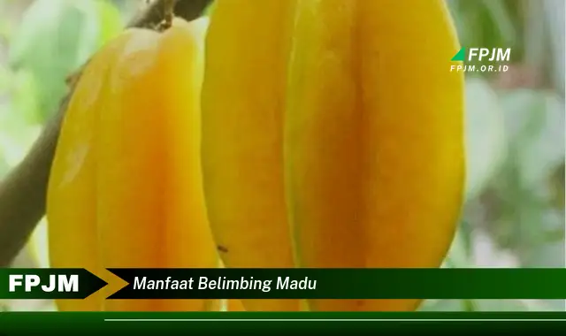 manfaat belimbing madu manfaat belimbing madu
