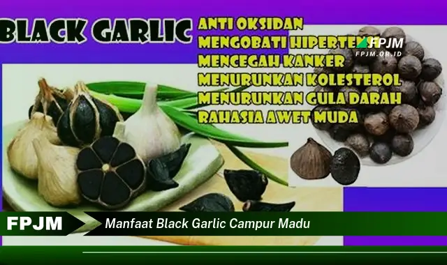 manfaat black garlic campur madu