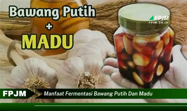 manfaat fermentasi bawang putih dan madu