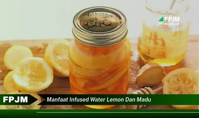 manfaat infused water lemon dan madu