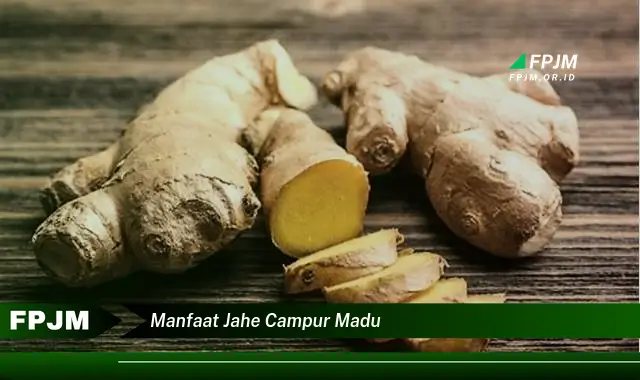 manfaat jahe campur madu