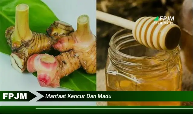 manfaat kencur dan madu