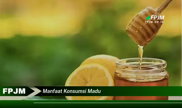 manfaat konsumsi madu