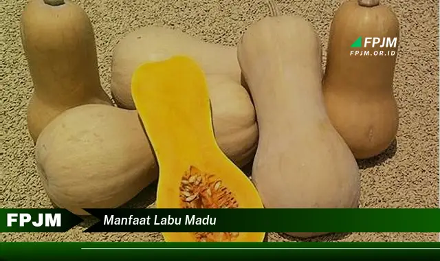 manfaat labu madu