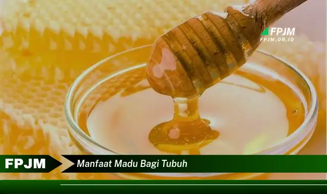 manfaat madu bagi tubuh