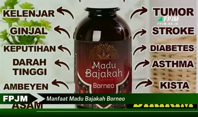 manfaat madu bajakah borneo manfaat madu bajakah borneo