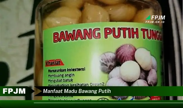 manfaat madu bawang putih