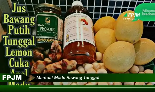 manfaat madu bawang tunggal manfaat madu bawang tunggal