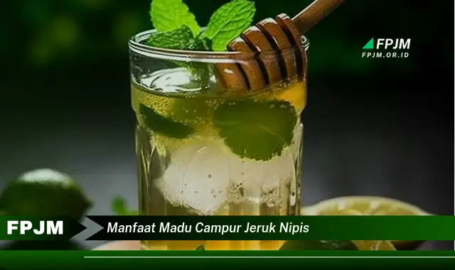 manfaat madu campur jeruk nipis manfaat madu campur jeruk nipis