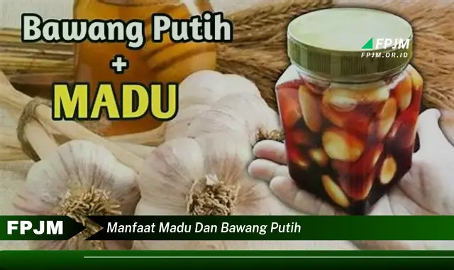 manfaat madu dan bawang putih manfaat madu dan bawang putih