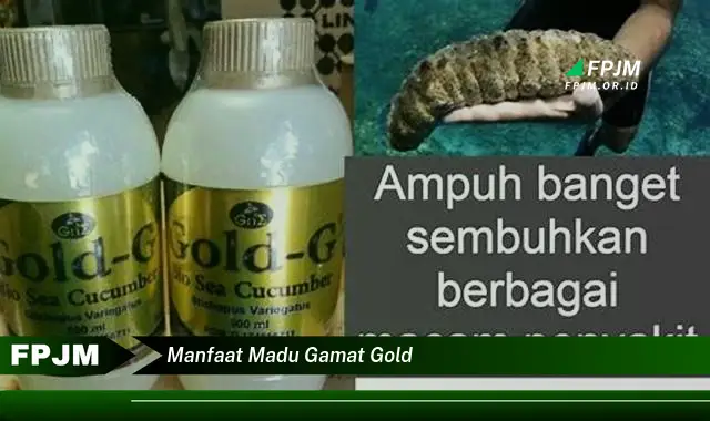 manfaat madu gamat gold