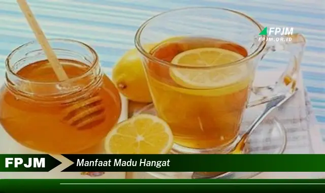 manfaat madu hangat