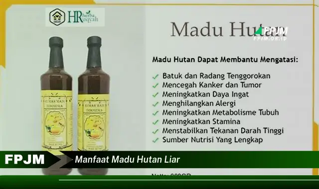 manfaat madu hutan liar