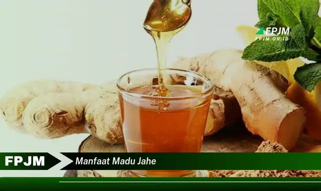 manfaat madu jahe