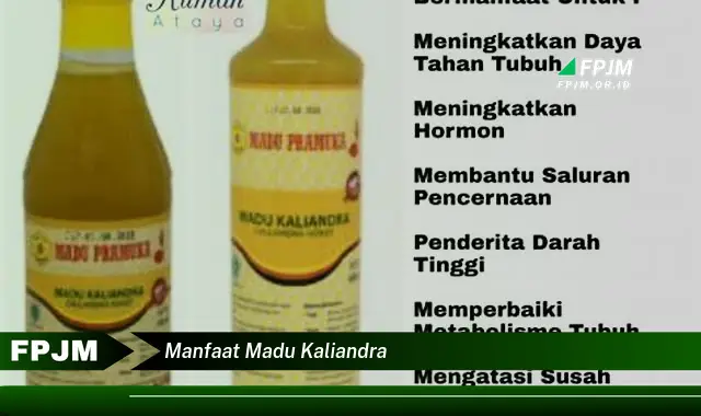 manfaat madu kaliandra