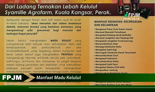 manfaat madu kelulut