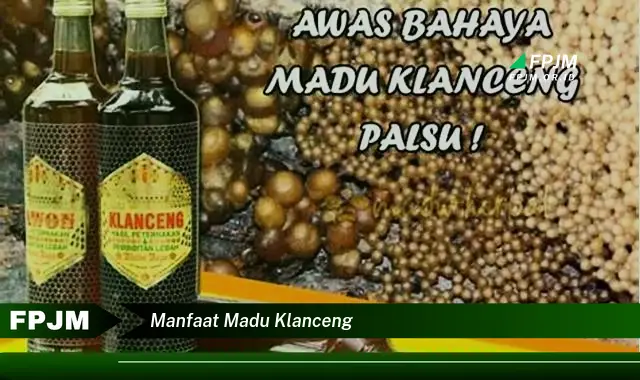manfaat madu klanceng manfaat madu klanceng