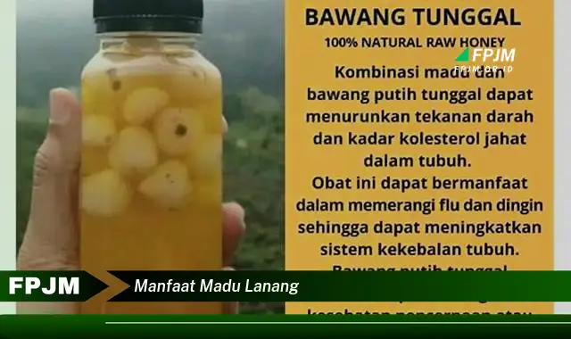 manfaat madu lanang