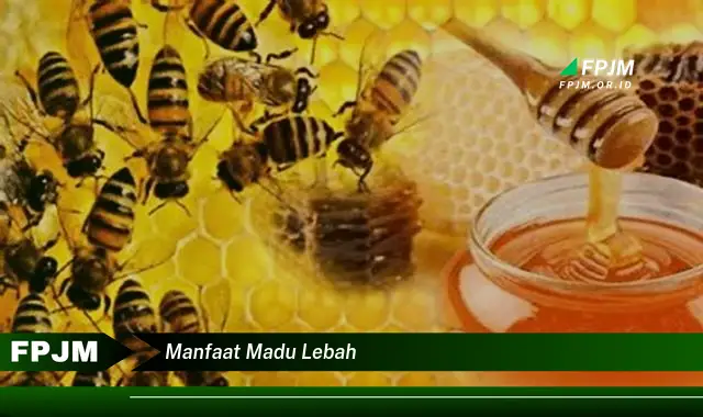 manfaat madu lebah